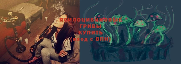 метадон Алексеевка