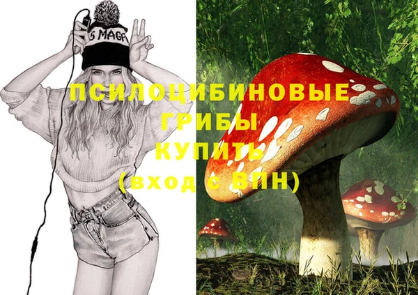 мдпв Алексин