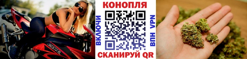 blacksprut как зайти  Миньяр  Конопля сатива 